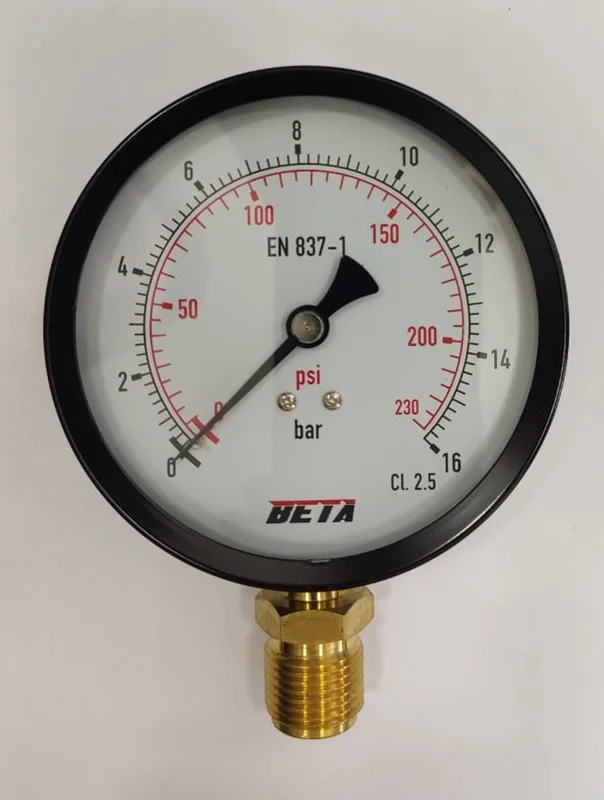 فشارسنج (مانومتر) استاندارد 16 بار صفحه 10 سانت مدل NTB-100L برند BETA